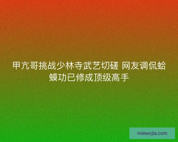 甲亢哥挑战少林寺武艺切磋 网友调侃蛤蟆功已修成顶级高手 甲亢哥挑战少林寺武艺切磋 网友调侃蛤蟆功已修成顶级高手