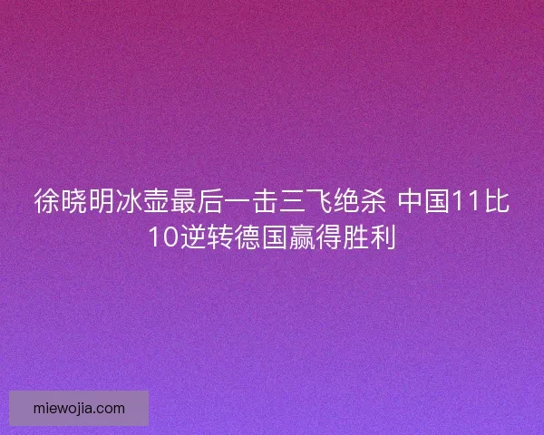 徐晓明冰壶最后一击三飞绝杀 中国11比10逆转德国赢得胜利